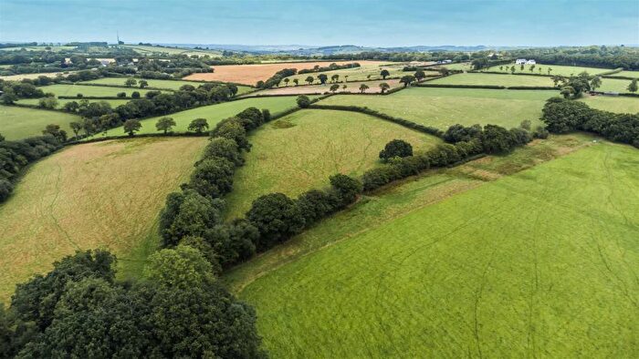 Land For Sale In Lot C: Land At Tidderson Lane, Rackenford, EX16