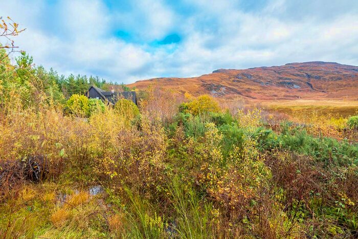 Land For Sale In Corrie Burn Braes, Ullapool, Highland, IV26