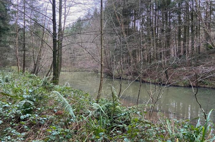 Land For Sale In Goffs Copse, Lurgarshall, Petworth, West Sussex, GU28