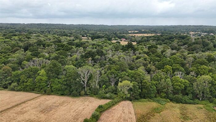 Land For Sale In Canterton Lane, Brook, Lyndhurst, Hampshire, SO43