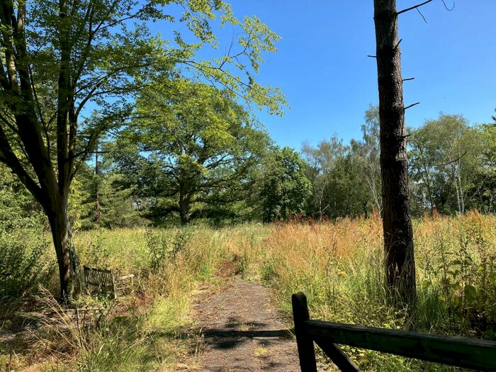 5 Bedroom Land For Sale In Blackbird Cottage, Blackbird Lane, Maidenhead, Berkshire, SL6