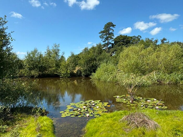 Land For Sale In Lot - Picketts Hill, Bordon, GU35