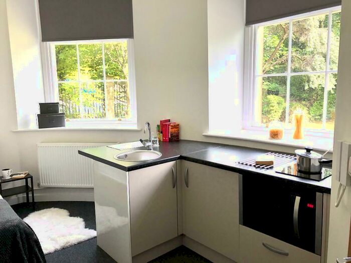 Studio To Rent In Albert Terrace Road, Sheffield, S6