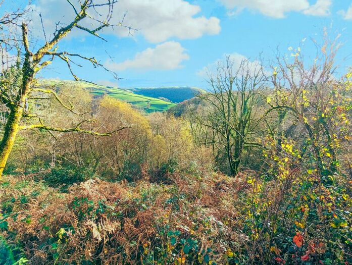 Land For Sale In Abergorlech Road, Horeb, Carmarthen, Carmarthenshire., SA32