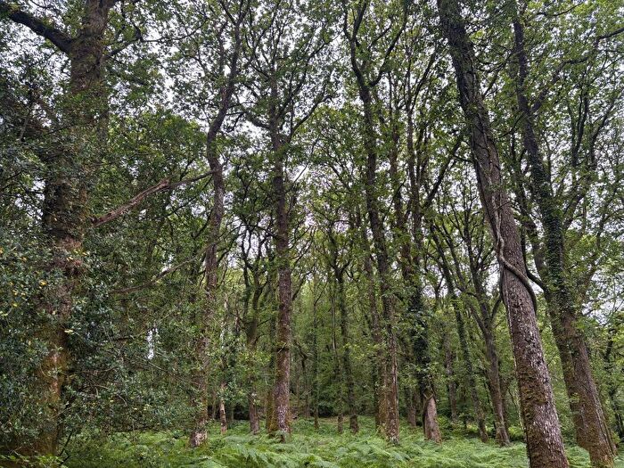 Land For Sale In Oakford, Tiverton, Devon, EX16