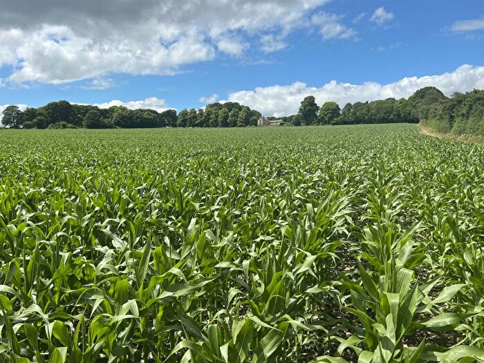 Land For Sale In Hindon, Salisbury, SP3