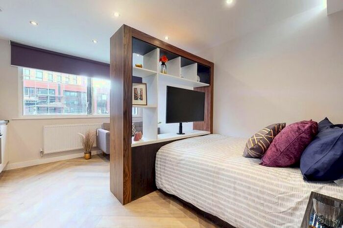 Studio To Rent In Apt, Live Oasis Wade Lane #, LS2