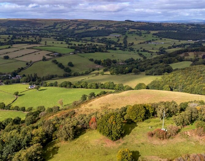 Land For Sale In Aberhafesp, Newtown, SY16