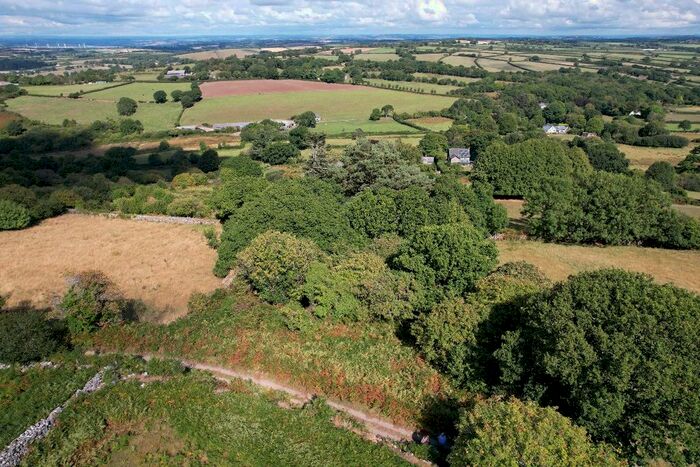 Land For Sale In Ancient Woodland, Cawson Side, Nr South Zeal, EX20