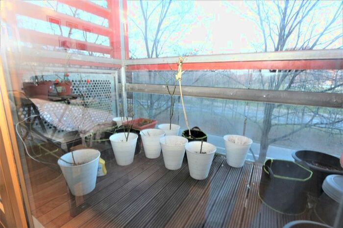 1 Bedroom Flat To Rent In West Parkside, London, SE10