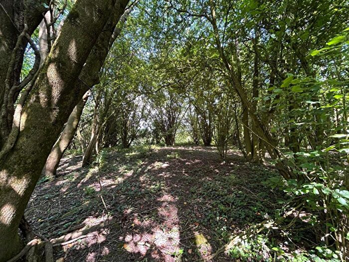 Land For Sale In Hinton Hill, Crewkerne, TA18