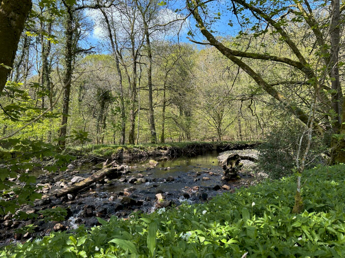 Land For Sale In Woodland At Boot, CA19