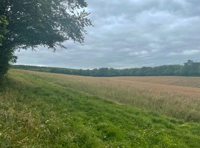 Land For Sale In Land Off Coombe Lane, West Meon, GU32