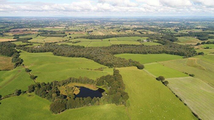 Land For Sale In Hayton Moss Wood & Tarn, Castle Carrock, Brampton, Cumbria, CA8