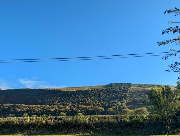 4 Bedroom Detached Bungalow For Sale In New Radnor, Presteigne, LD8