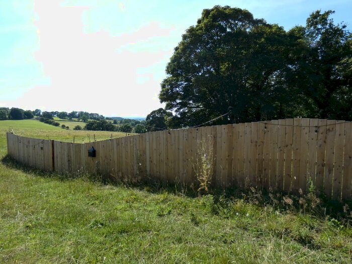 Land For Sale In Land On Hadrians Wall, South Of Black Pasture Cottage, Hexham, Northumberland, NE46