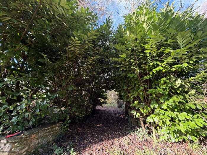 Land For Sale In Plot Snodwell Farm, Post Lane, Cotleigh, Devon, EX14