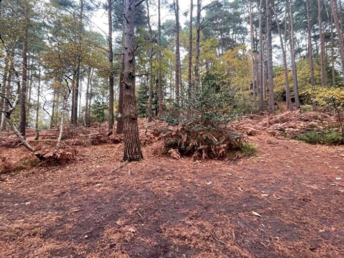 Land For Sale In Upper Bourne Lane, Farnham, GU10