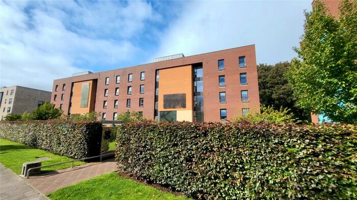 3 Bedroom Flat To Rent In Haggs Gate, Glasgow, G41