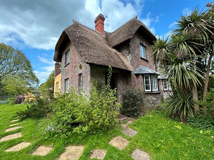 2 Bedroom Semi Detached House To Rent In Holly Lodge, EX5