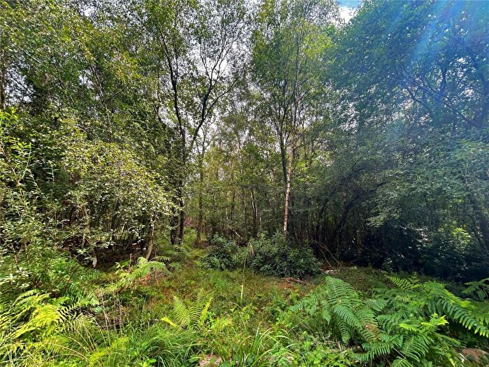 Land For Sale In Uddens Drive, Wimborne, Dorset, BH21