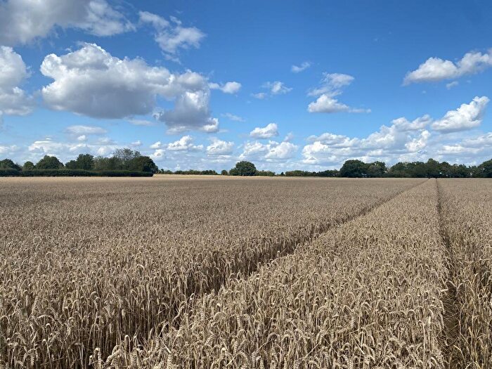 Farm Land For Sale In Land Off Fen Street, Fen Street, Old Buckenham, Attleborough, Norfolk, NR17