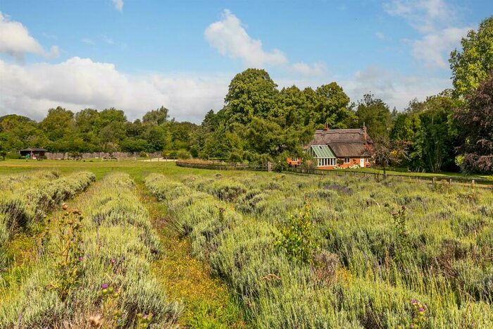 6 Bedroom Detached House For Sale In Bransbury, Winchester, Hampshire, SO21