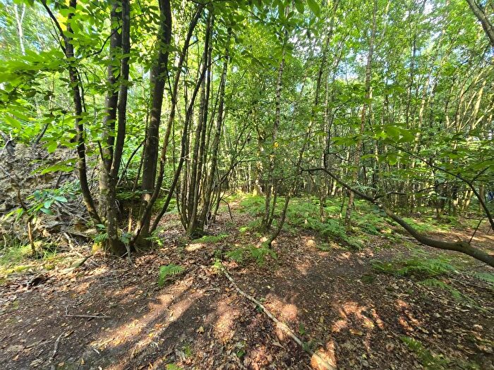 Land For Sale In Land Off Kilndown Road, Flimwell, Wadhurst, East Sussex, TN5