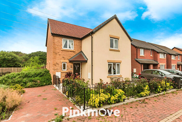 4 Bedroom Detached House For Sale In Pickle Line Road, Newport, NP19