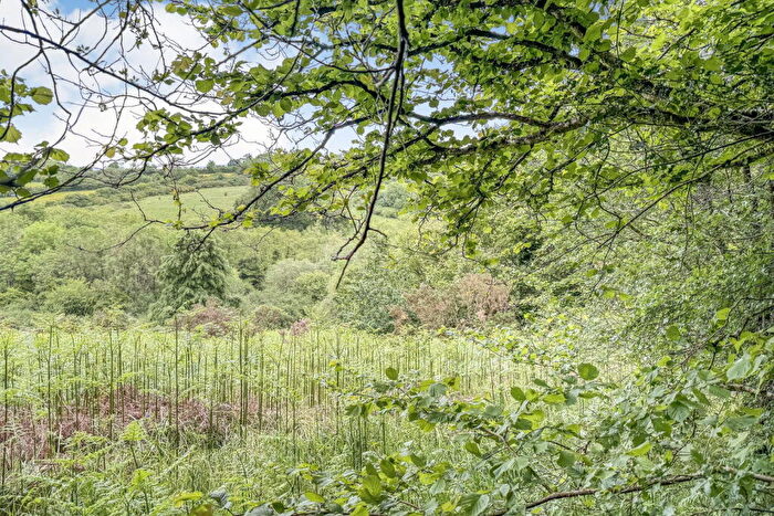 7 Bedroom Country House For Sale In Newells, Musbury, Axminster, Devon, EX13