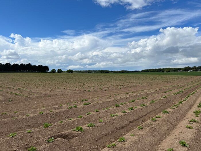Farm Land For Sale In . Acres Of Arable Land, Aylmerton, NR11