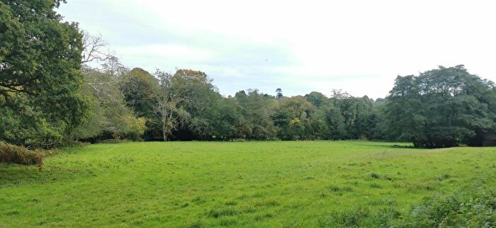 Land For Sale In . Acres With River Frontage/Fishing - Hoo Meavy, PL20