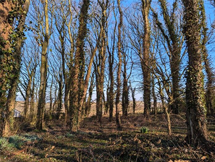 Land For Sale In Woodland At Maryport, Lime Grove, Maryport, CA15