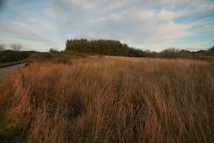 Land For Sale In Foggiemoss, Keith, AB55