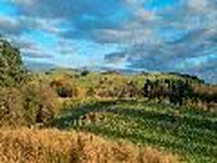 1 Bedroom Lodge For Sale In Landal Barnsoul, Dumfries DG2