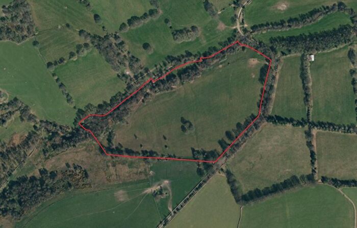 Land For Sale In Land Known As The Fancy, East Butsfield Lane, Satley, DL13