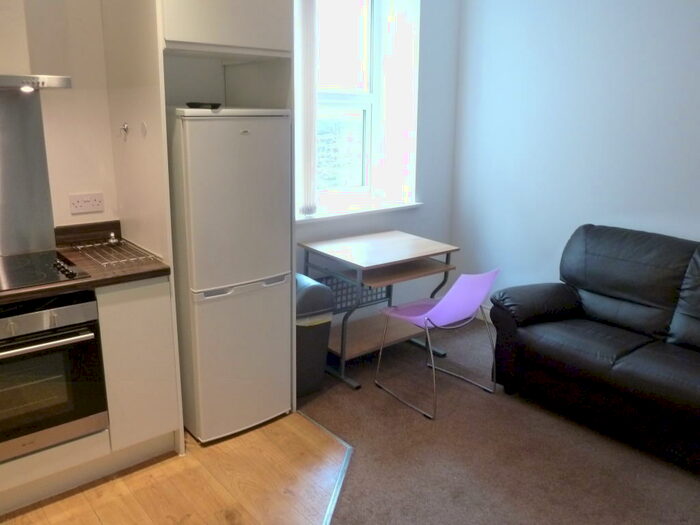 Studio To Rent In Whitefield Tce, Flat Greenbank Road, PL4