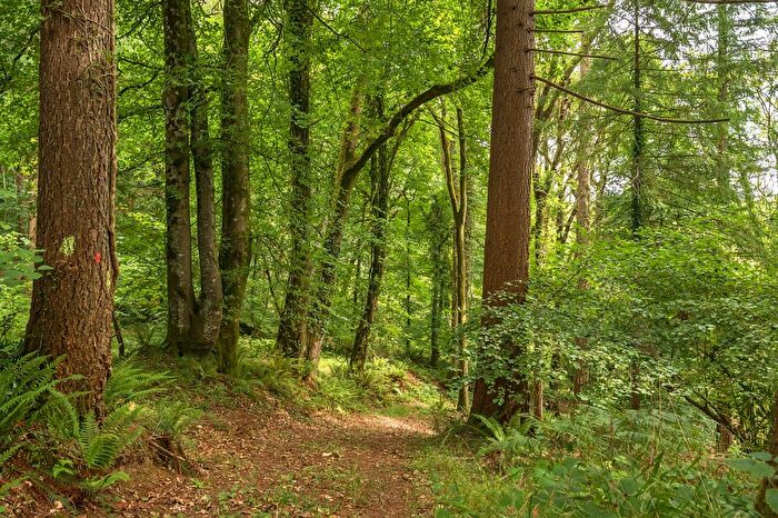 Land For Sale In Stoodleigh, Tiverton, Devon, EX16