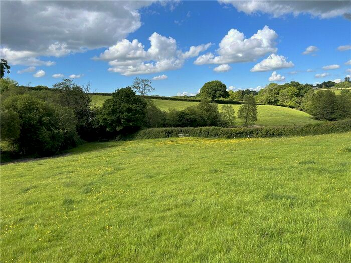 Land For Sale In Stonelake, Thorncombe, Chard, Somerset, TA20