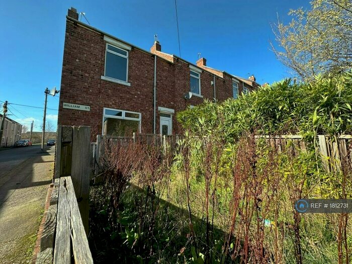 2 Bedroom Terraced House To Rent In William Street, Chester Le Street, DH3