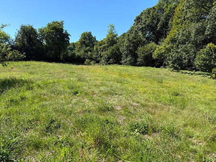 Land For Sale In Lower Combe, Buckastleigh, TQ11