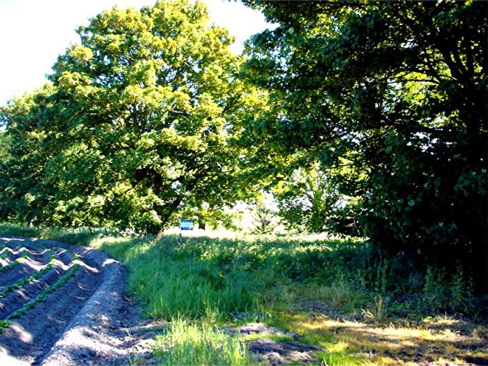 Land For Sale In Hatton, Kinloss, Moray, IV36