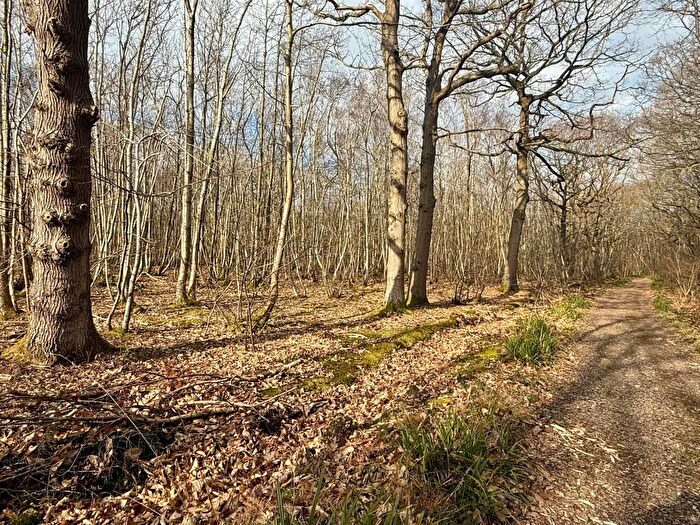 Land For Sale In Moore Wood, Dunkirk, Faversham, Kent, ME13