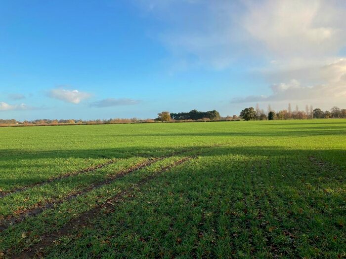 Land For Sale In Tockwith, York, North Yorkshire, YO26