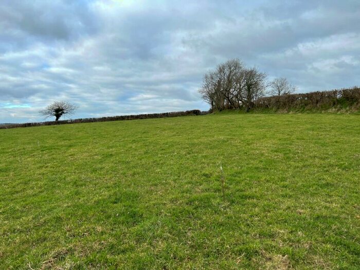 Land For Sale In Bratton Clovelly, Okehampton, Devon, EX20