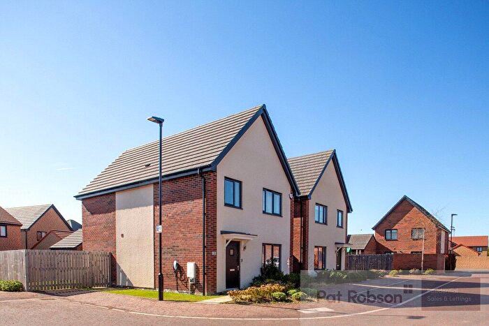 4 Bedroom Detached House To Rent In Eden Park Court, Kenton Bank Foot, Newcastle Upon Tyne, Tyne And Wear, NE13