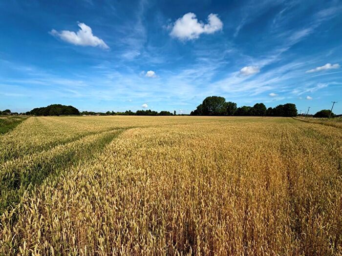 Farm Land For Sale In Land Off Guanockgate Road, Sutton St Edmund, PE12
