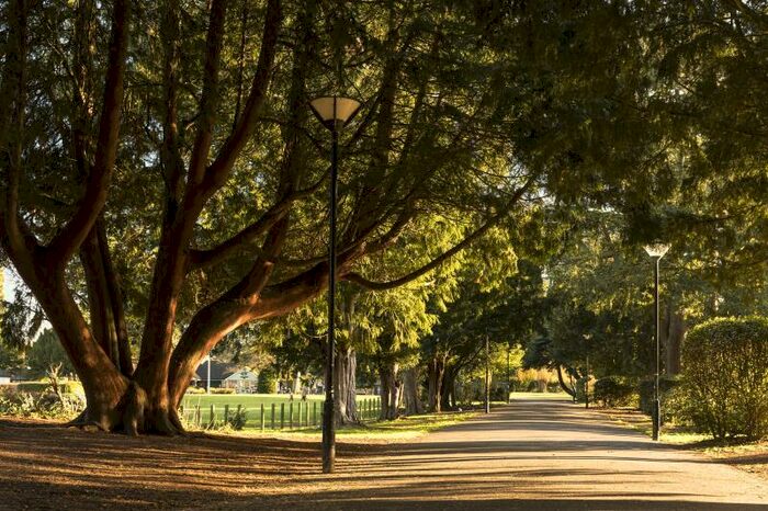 1 Bedroom Apartment To Rent In Clifton House, Broadway, Peterborough, PE1