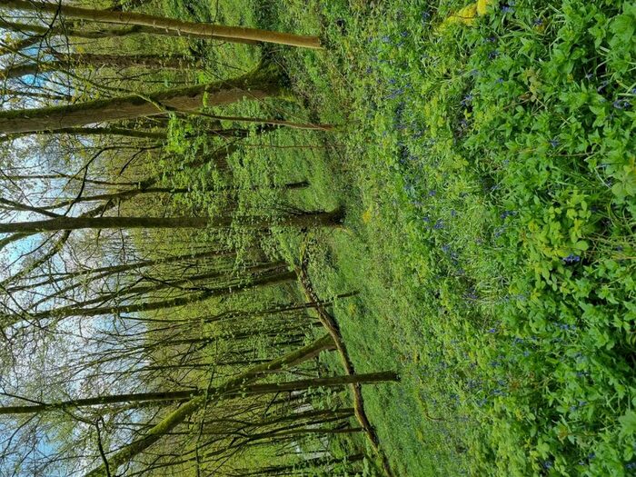 Land For Sale In Lot : Gospel Farm, Bramley Lane, Hassop, Bakewell, DE45