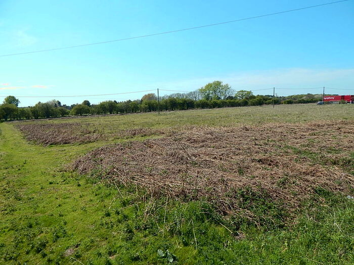 Land For Sale In Land Off Lynn Road, Swaffham, Norfolk, PE37